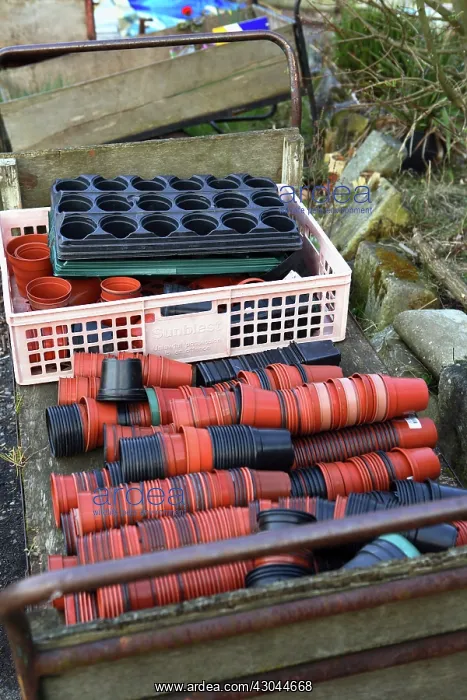 : Pots : Pots