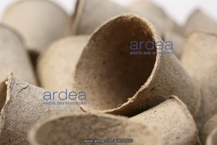 : Pots : Pots