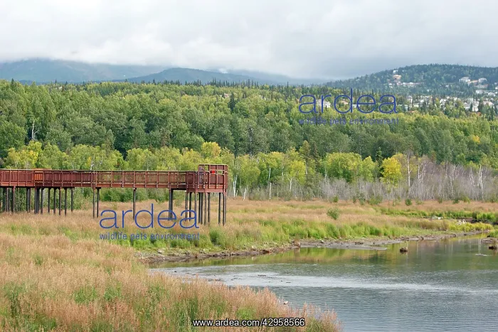  : Potter Marsh