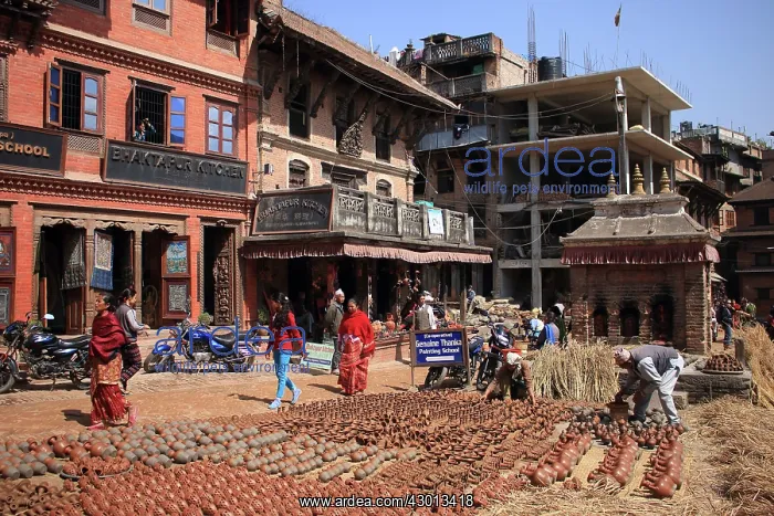 : Pottery Square : Pottery Square