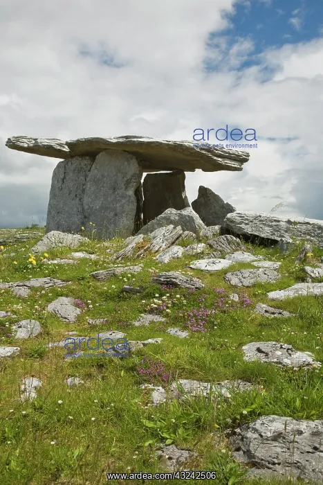  : Poulnabrone Dolmen, The Burren, County Clare