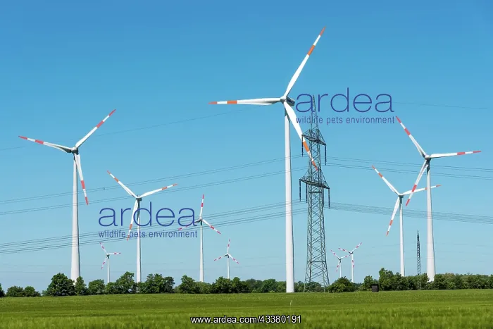 : Power lines and wind turbines in Germany : Power lines and wind turbines in Germany