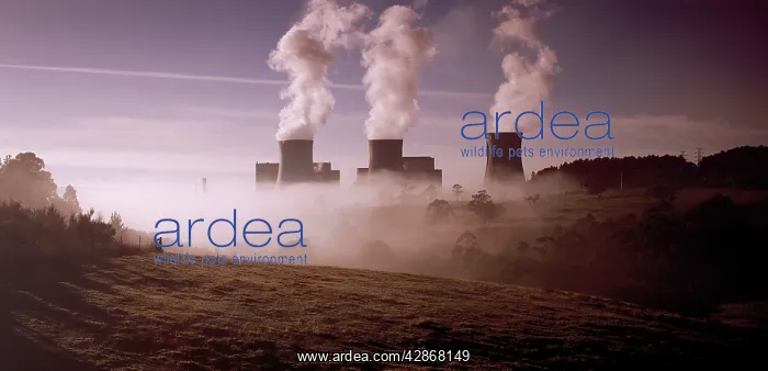 : Power Station : Power Station