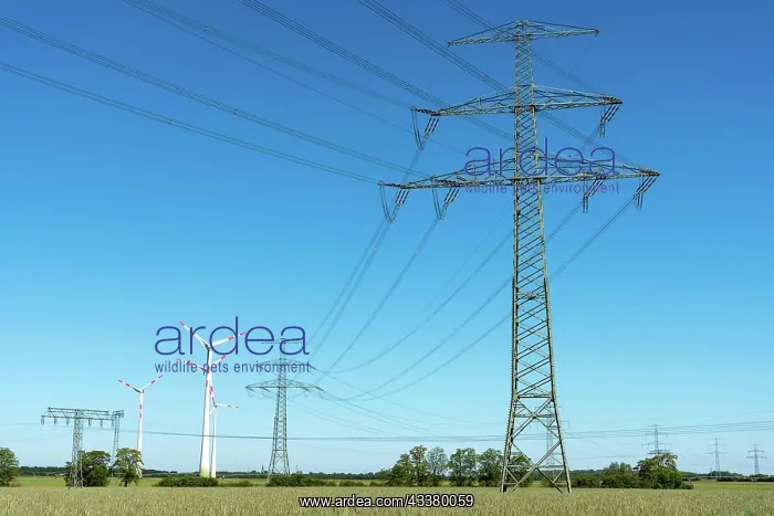 : Power transmission lines with some wind turbines : Power transmission lines with some wind turbines