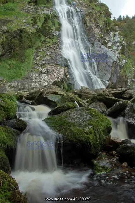 : Powerscourt Waterfall, County Wicklow, Ireland : Powerscourt Waterfall, County Wicklow, Ireland