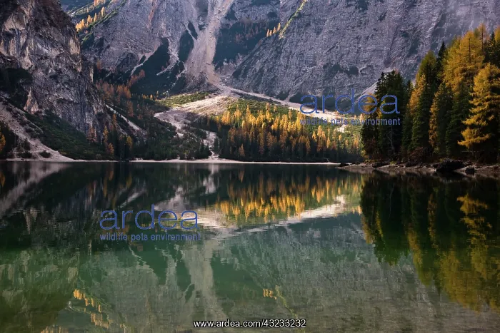 : The Pragser Wildsee (Lake Prags, Lago die : The Pragser Wildsee (Lake Prags, Lago die