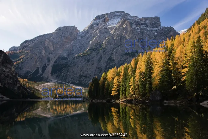 : The Pragser Wildsee (Lake Prags, Lago die : The Pragser Wildsee (Lake Prags, Lago die