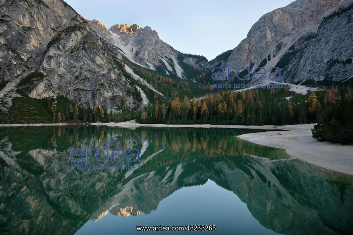 : The Pragser Wildsee (Lake Prags, Lago die : The Pragser Wildsee (Lake Prags, Lago die