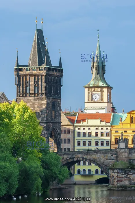 : Prague, Czech Republic. Charles bridge and bridge tower : Prague, Czech Republic. Charles bridge and bridge tower