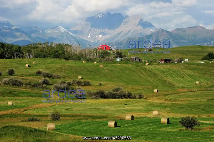 : Where the prairie meets the Rocky Mountains, Waterton : Where the prairie meets the Rocky Mountains, Waterton