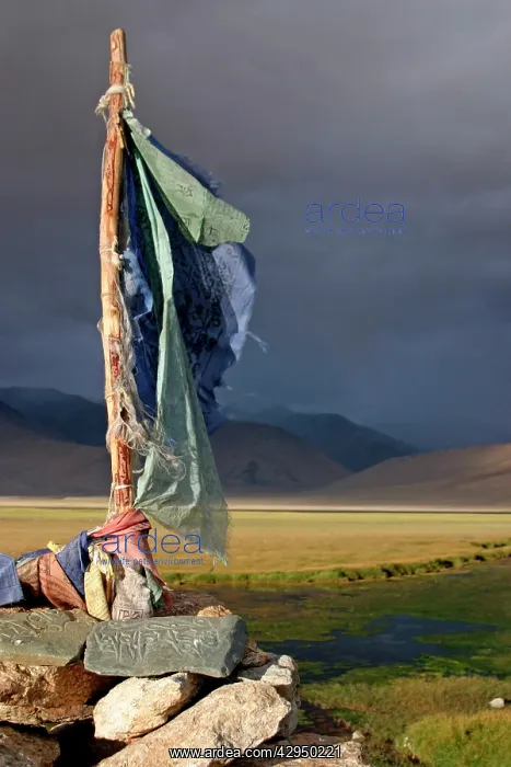 : Prayer flags and mani stones at spring : Prayer flags and mani stones at spring