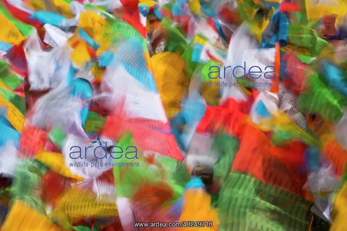 : Prayer flags in Simila Mountain, Gyantse County : Prayer flags in Simila Mountain, Gyantse County