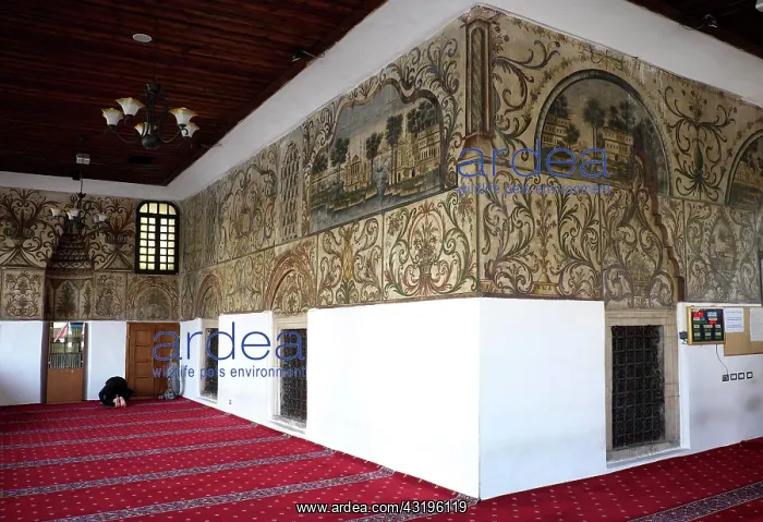 : Prayer room, Et'hem Bey Mosque, Tirana, Albania : Prayer room, Et'hem Bey Mosque, Tirana, Albania