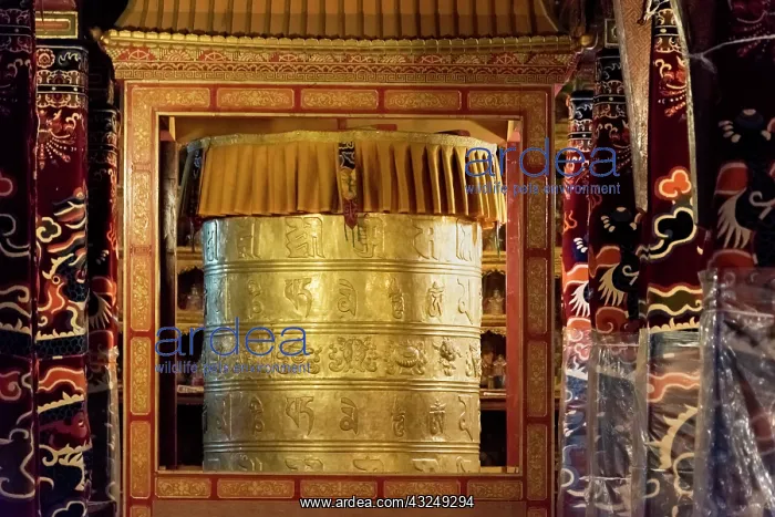 : Prayer wheel inside Drepung Monastery, one of the : Prayer wheel inside Drepung Monastery, one of the