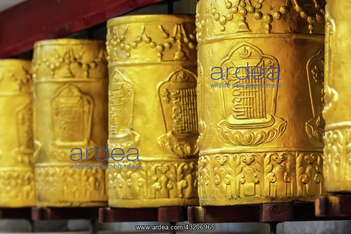 : Prayer wheels in Tabo Monastery. Tabo, Spiti Val : Prayer wheels in Tabo Monastery. Tabo, Spiti Val