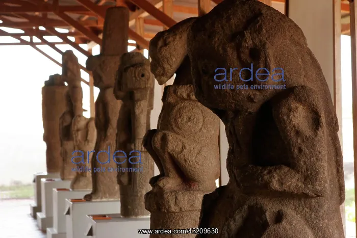 : Pre-Columbian Statues, 8th -12th century, from Zapatera : Pre-Columbian Statues, 8th -12th century, from Zapatera