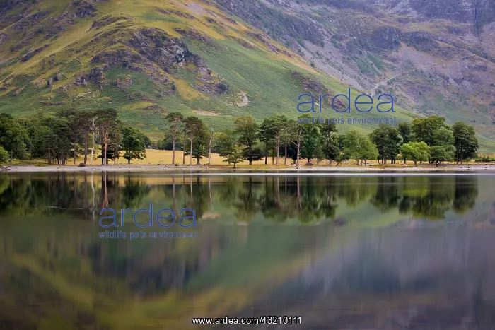 : Pre-dawn reflections on Buttermere Lake, Cumbria : Pre-dawn reflections on Buttermere Lake, Cumbria