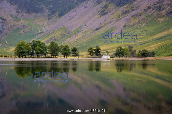 : Pre-dawn reflections on Buttermere Lake, Cumbria : Pre-dawn reflections on Buttermere Lake, Cumbria