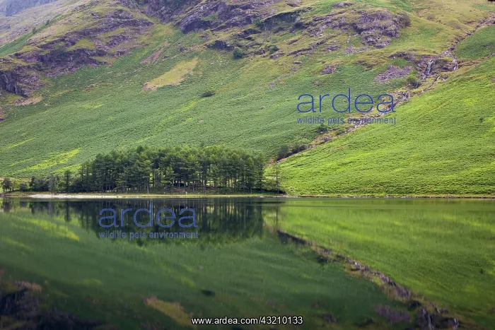 : Pre-dawn reflections on Buttermere Lake, Cumbria : Pre-dawn reflections on Buttermere Lake, Cumbria