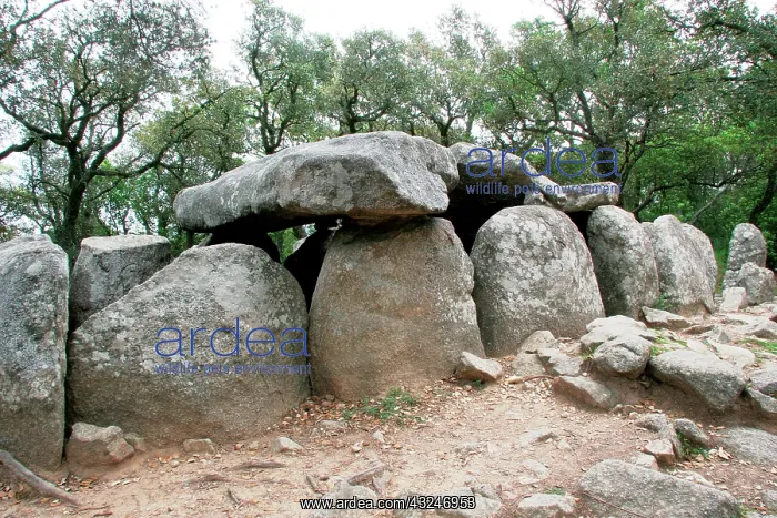 : Prehistoric Art. Dolmen (gravestone) of : Prehistoric Art. Dolmen (gravestone) of