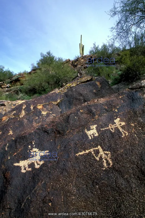 : Prehistoric Hohokam Petroglyphs : Prehistoric Hohokam Petroglyphs