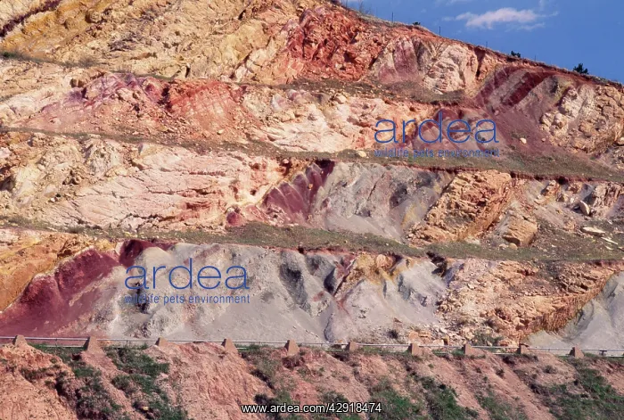 : Prehistoric Location - morrison (jurassic) & dakota : Prehistoric Location - morrison (jurassic) & dakota