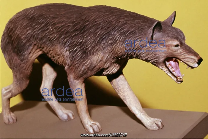 : Prehistoric Model - Dire Wolf : Prehistoric Model - Dire Wolf