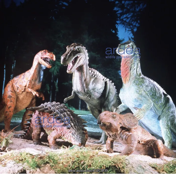 : PREHISTORIC RECONSTRUCTION - Allosaurus, Tyrannosaurus : PREHISTORIC RECONSTRUCTION - Allosaurus, Tyrannosaurus
