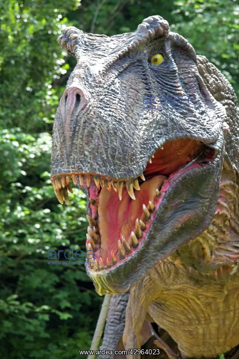 : Prehistoric Reconstruction - close up head of Tyrannosaurus : Prehistoric Reconstruction - close up head of Tyrannosaurus
