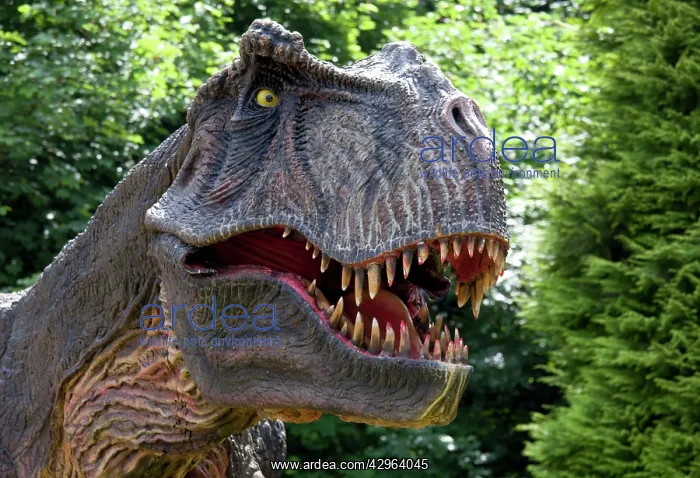 : Prehistoric Reconstruction - close up head of Tyrannosaurus : Prehistoric Reconstruction - close up head of Tyrannosaurus