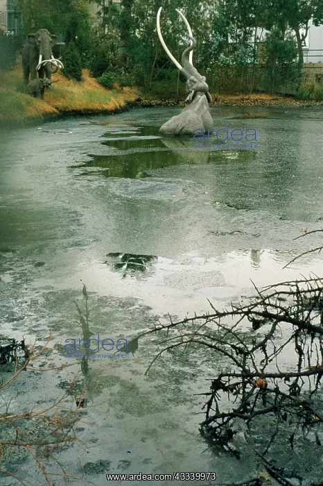 : Prehistoric reconstruction - Elephant - trapped : Prehistoric reconstruction - Elephant - trapped