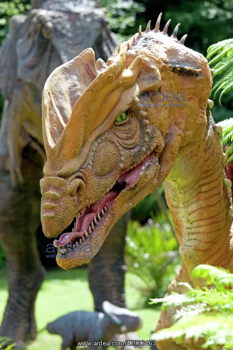 : Prehistoric Reconstruction - Head of Dilophosaurus : Prehistoric Reconstruction - Head of Dilophosaurus