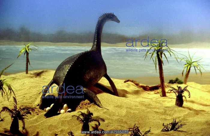 : Prehistoric Reconstruction - Plesiosaur laying eggs : Prehistoric Reconstruction - Plesiosaur laying eggs