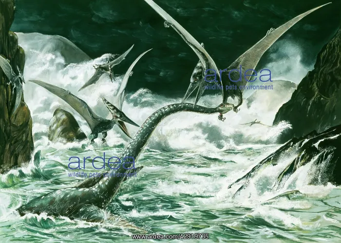 : Prehistoric Reconstruction - Pteranodon & Winged : Prehistoric Reconstruction - Pteranodon & Winged