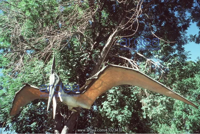: Prehistoric reconstruction - Pterosaur Model : Prehistoric reconstruction - Pterosaur Model