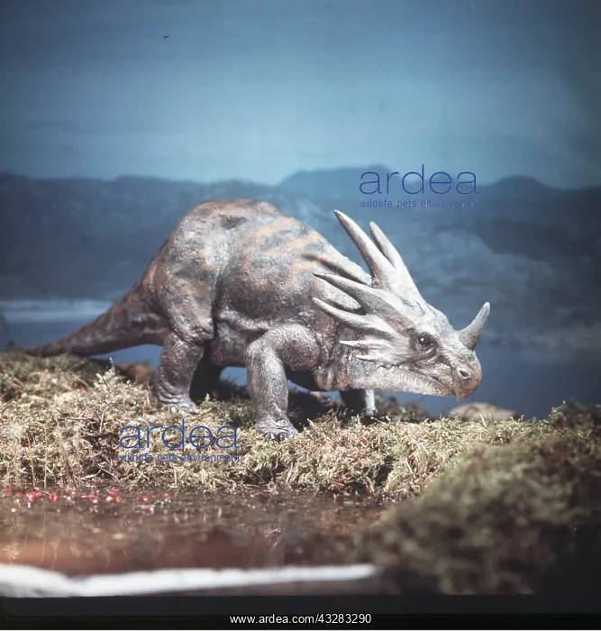 : Prehistoric reconstruction - STYRACOSAURAUS Dinosaur : Prehistoric reconstruction - STYRACOSAURAUS Dinosaur