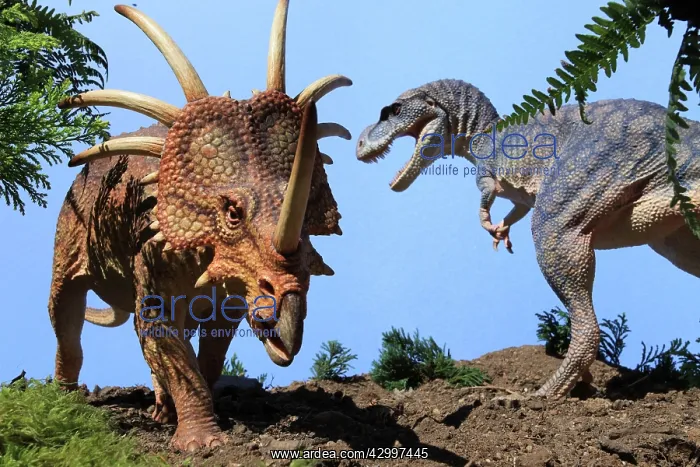 : Prehistoric Reconstruction: Tyrannosaur and Styracosaur : Prehistoric Reconstruction: Tyrannosaur and Styracosaur