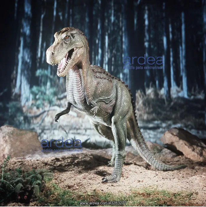 : Prehistoric reconstruction - Tyrannosaurus Rex in forest : Prehistoric reconstruction - Tyrannosaurus Rex in forest
