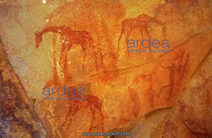 : Prehistoric Rock Painting : Prehistoric Rock Painting