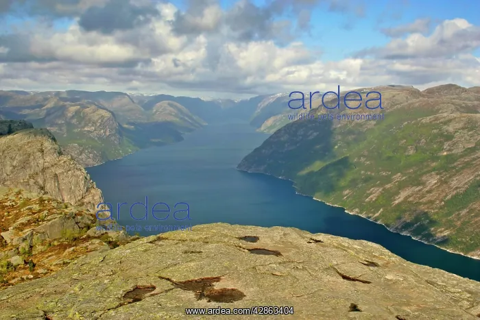 : Preikestolen - view from rock pulpit Preikestolen : Preikestolen - view from rock pulpit Preikestolen