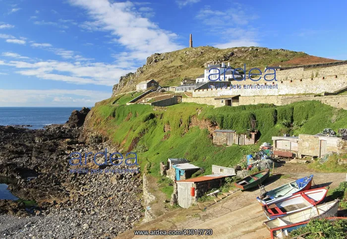 : Priests Cove : Priests Cove