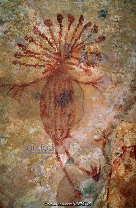 : Primitive Aboriginal Rock Painting about 20 000 years b.p : Primitive Aboriginal Rock Painting about 20 000 years b.p