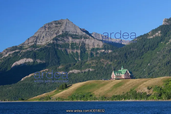  : Prince of Wales Hotel