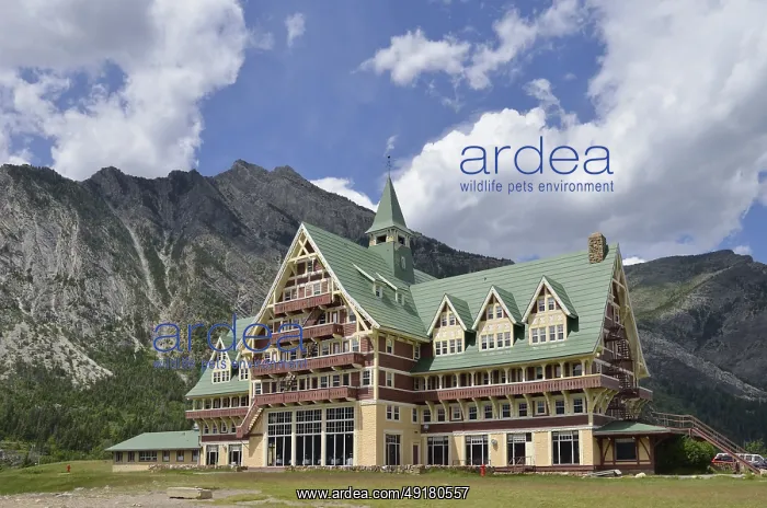 : Prince of Wales Hotel, Waterton Lakes National Park : Prince of Wales Hotel, Waterton Lakes National Park