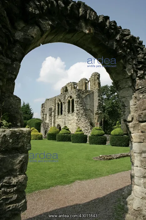 : Priory ruins (Anglo-Saxon monastery was founded