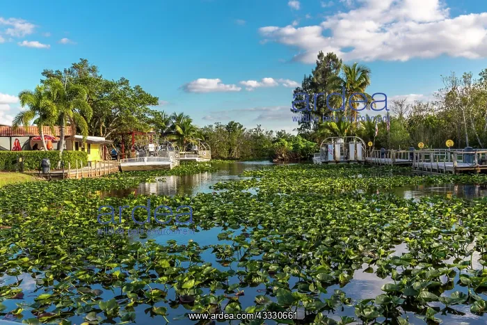 : Propeller Boat Pier, Safari Park, Everglades National : Propeller Boat Pier, Safari Park, Everglades National
