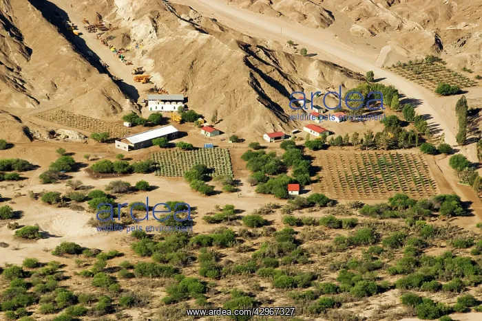 : Prospecting equipment parked and stacked : Prospecting equipment parked and stacked