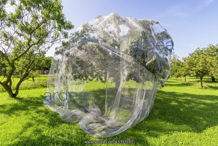 : Protection net for fruit trees against birds : Protection net for fruit trees against birds