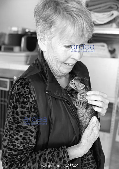 : Protector of cats holding in her arms a kitten Naples Italy : Protector of cats holding in her arms a kitten Naples Italy