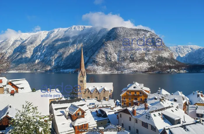: Protestant Church, Hallstcttersee, Hallstatt, Salzkammergut : Protestant Church, Hallstcttersee, Hallstatt, Salzkammergut